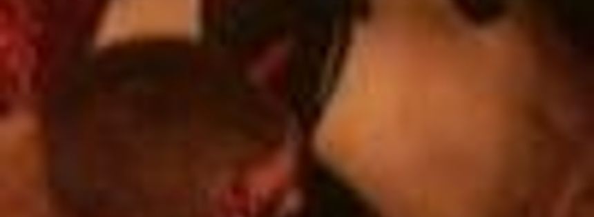 07-04-2008 LA REVOLUTION DU PORNO