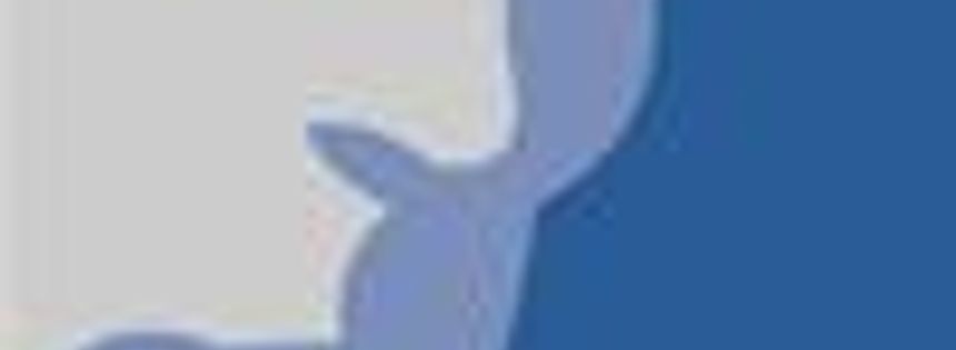 Facebook fesse SlickCash