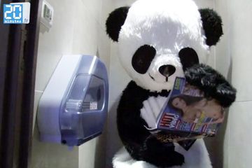 Même les pandas lisent Hot Vidéo !!!